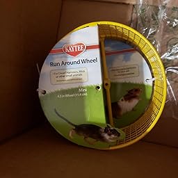 kaytee run around wheel