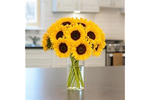 BloomsyBox: Farm-Fresh Sunflowers | 10 Stems, Yellow Design, Care Card, Flower Food, Lush Greenery, Flower Delivery, Birthday, Anniversary,Get well, Wedding Flowers | No Vase