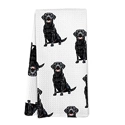 Yorhifa Black Labrador Retriever Dog Kitchen Dish
