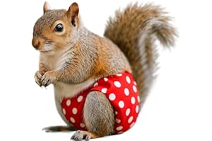 Squirrel Diapers | Adjustable Leak-Proof Urine-Wet Pants,Leak-Proof Reusable Diapers Pants - for Gerbils Mice Degus Ferrets H
