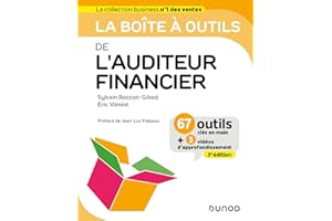 La boite à outils de l'auditeur financier - 3e éd. (French Edition)
