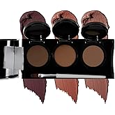 Dermaflage Waterproof Concealer Palette (Dark) - Concealer Full Coverage, Matte Finish for Face & Body - Hides Dark Circles & Acne - Smudge Proof Body Makeup Palette with 3 Pro SFX Shades + Brush