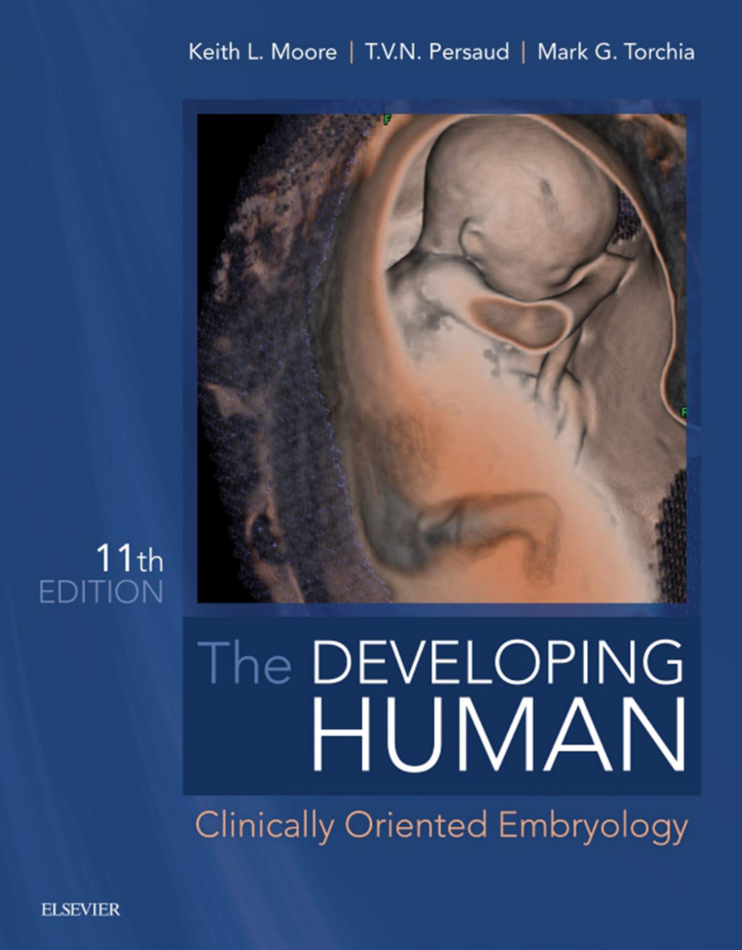 The Developing Human E Book Clinically Oriented Embryology Kindle Edition By Moore Keith L Persaud T V N Torchia Mark G Professional Technical Kindle Ebooks Amazon Com