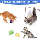 Wefine 20 Pcs Cat Toys Indoor Collapsible Tunnel Interactive Feather Wand Balls view 4