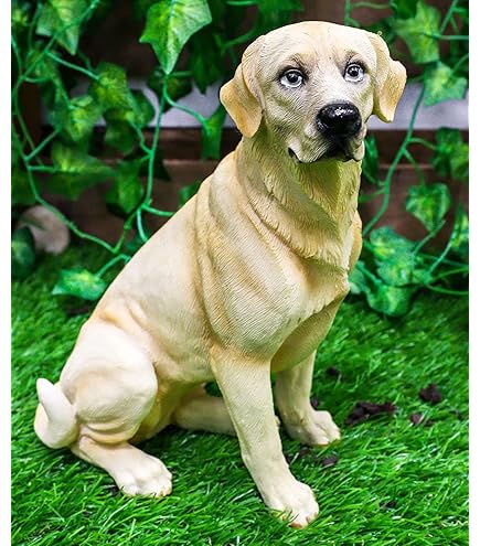 Amazon.com: Sandicast Mid Size Chocolate Labrador Retriever