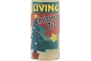 The Jonsteen Company Living Christmas Tree | Seed Grow Kit