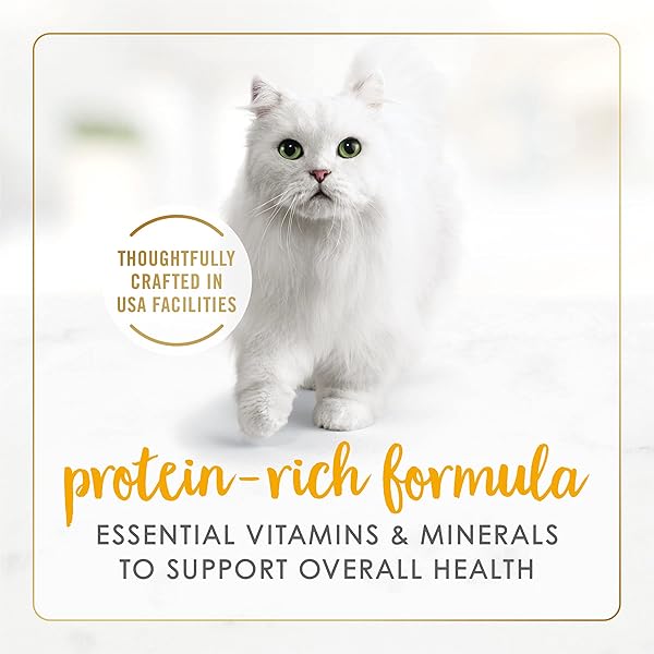 PURINA FANCY FEAST GRILLED WET CAT FOOD CHICKEN AND BEEF IN WET CAT FOOD GRAVY – (PACK OF 24) 3 OZ. CANS