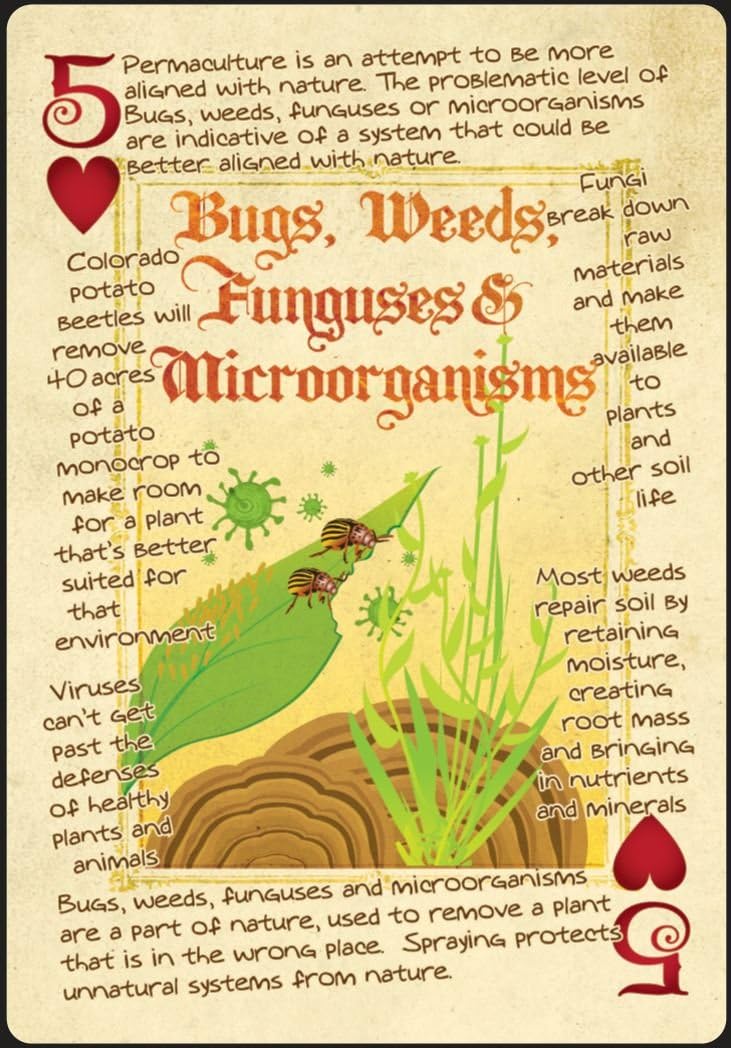 bugs soil permaculture playing card