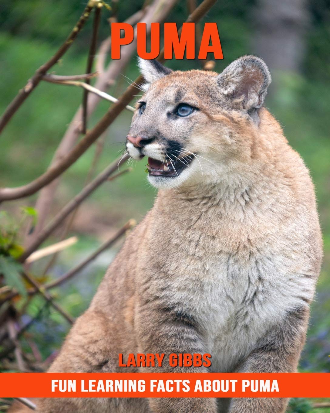 about puma