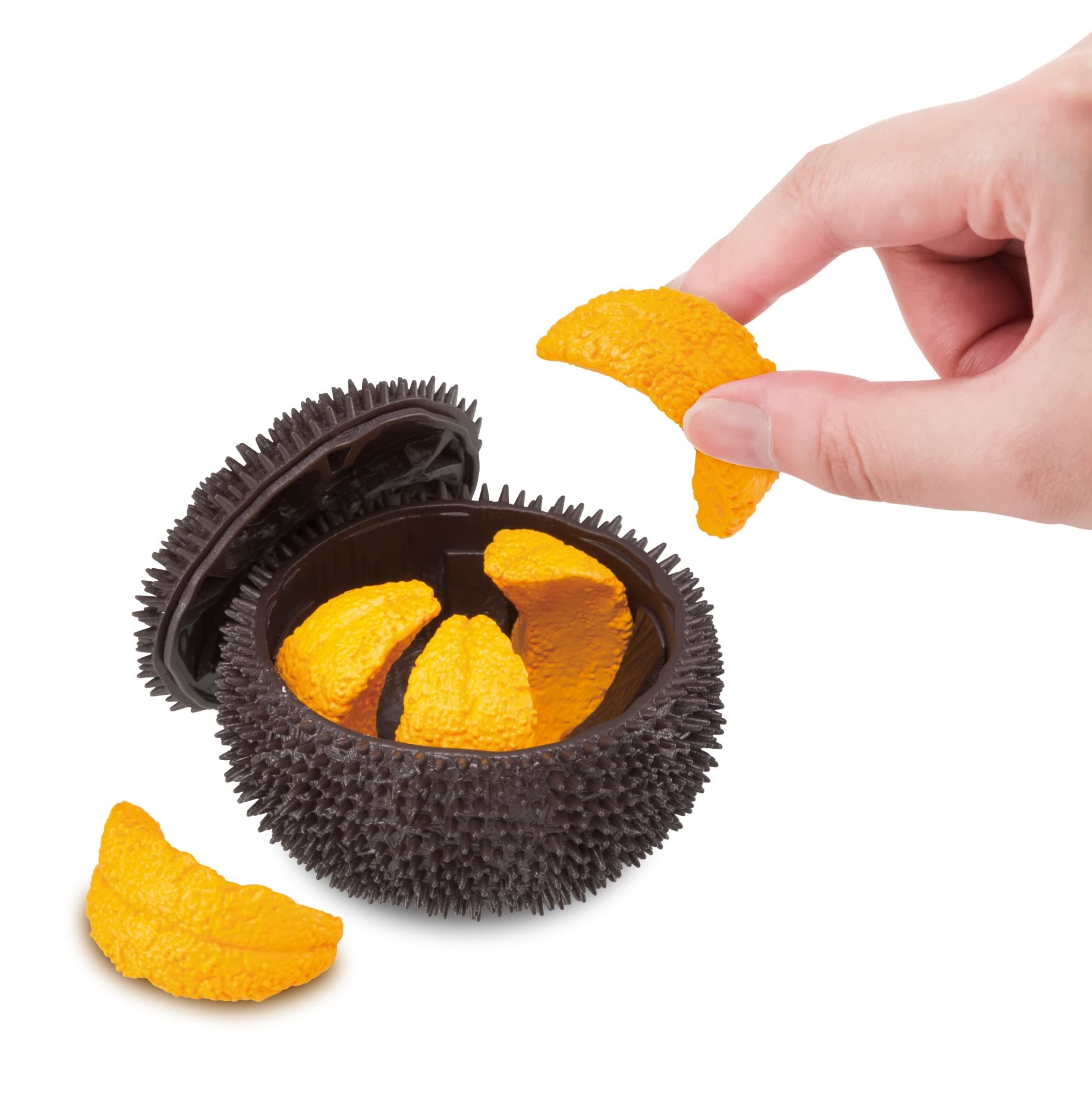 Photo 1 of Megahouse - Sea Urchin, Kaitai Puzzle