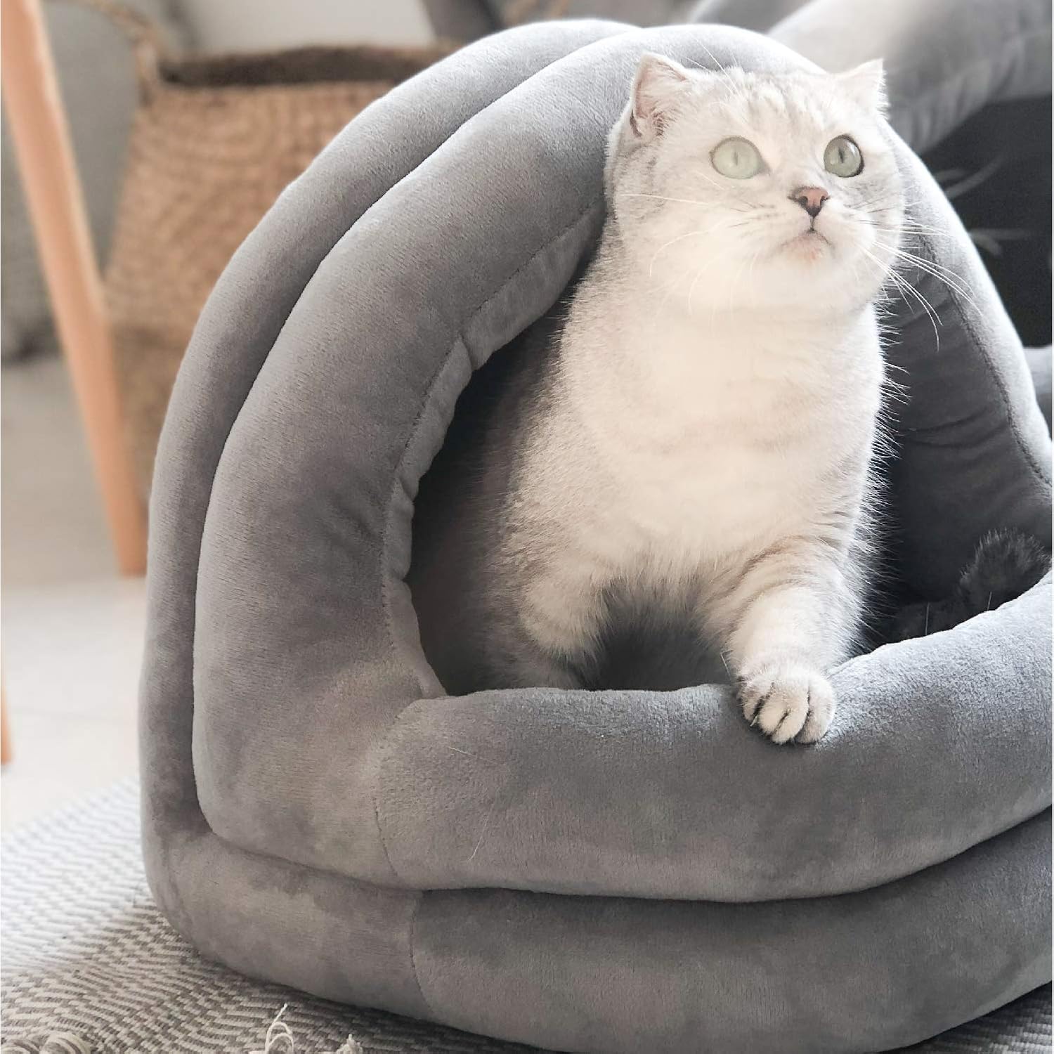 Tempcore Cat Bed House Large : Pet Supplies