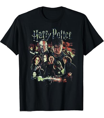 Amazon.com: Wizarding World Harry Potter Chamber of Secrets Poster