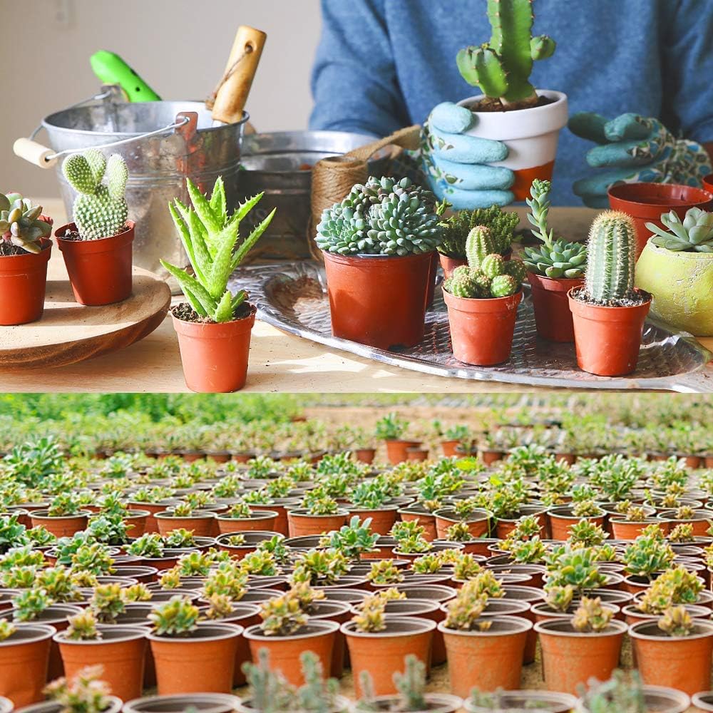 Augshy 110 Pcs 4" Plastic Plants Nursery Pot,Seed Starting Pots: Garden & Outdoor