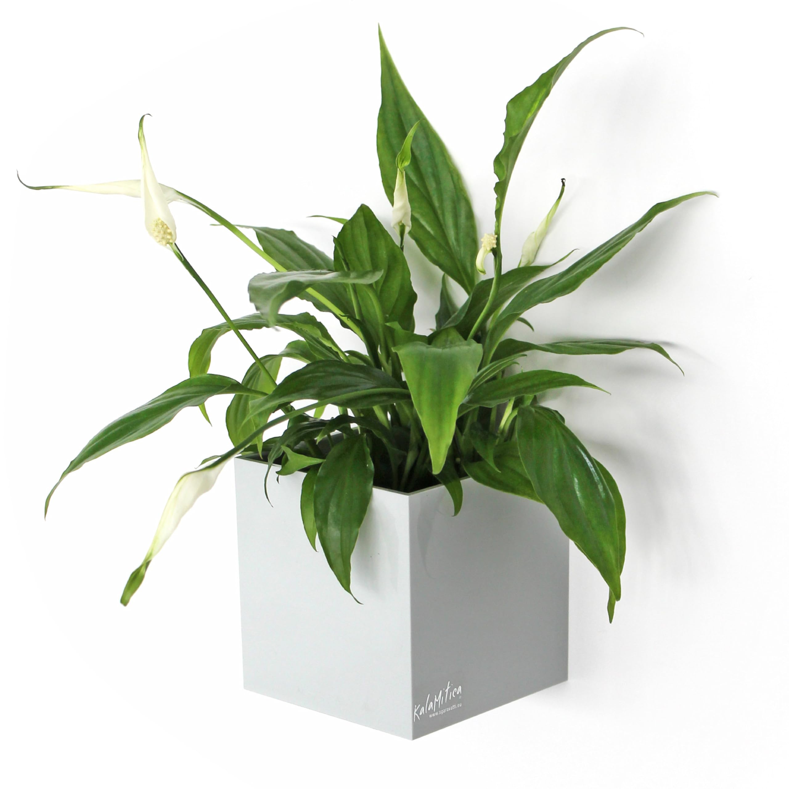 KalaMitica - Magnetic Cube, Cachepot, Marker Holder for Whiteboard, Organizer - Ø 9 cm, Ice