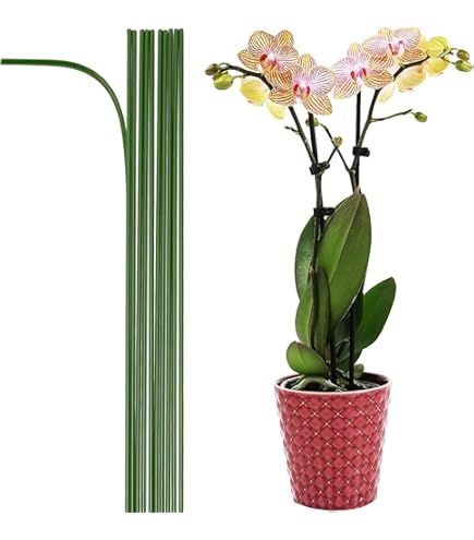 Stratégies Pour Une Gestion Efficace Du Changement Organisationnel