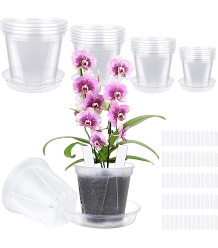 Lot De 10 Pots De Fleurs De 20,3 Cm En Plastique Transparent Pour Controle Des Racines Trous Daeration Pour Legumes Fleurs Fruits Pepiniere Jardin Pot De Fleurs Dorchidee Transparent Couleur