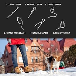 EzyDog Vario 6 Multi-Function Dog Leash with Snap