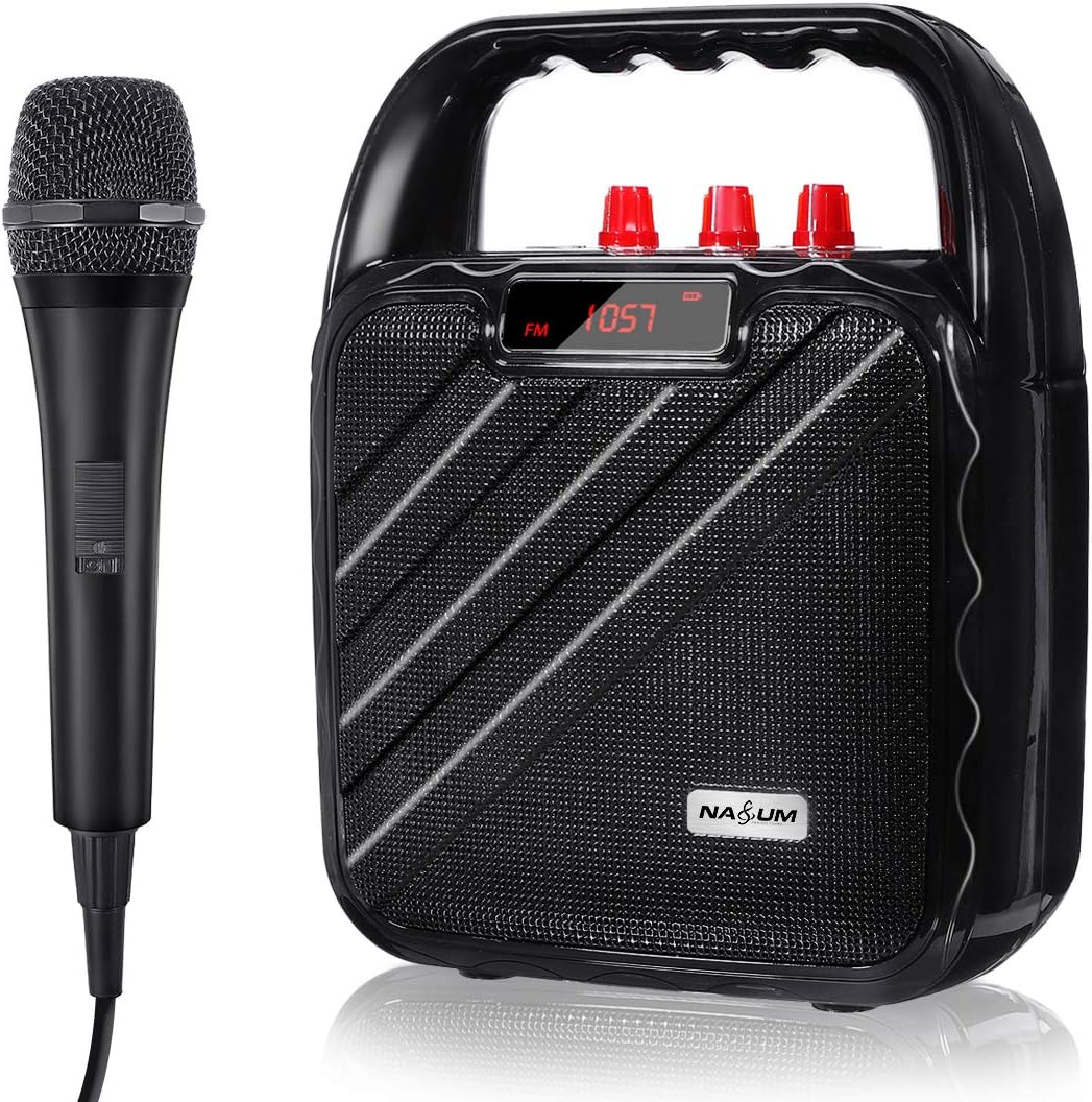 portable speaker systems