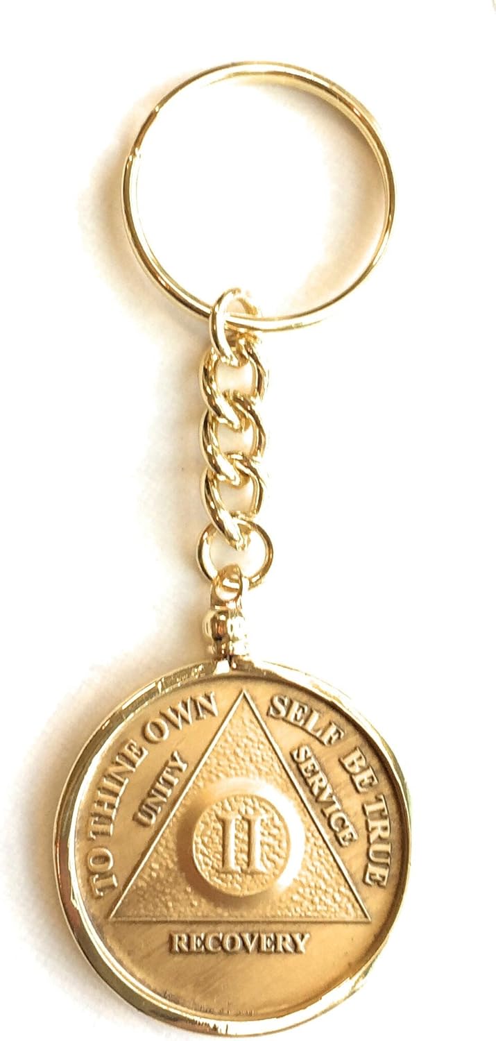AA Medallion Keychain Sobriety Chip Holder 18k Gold Plated Key Chain by