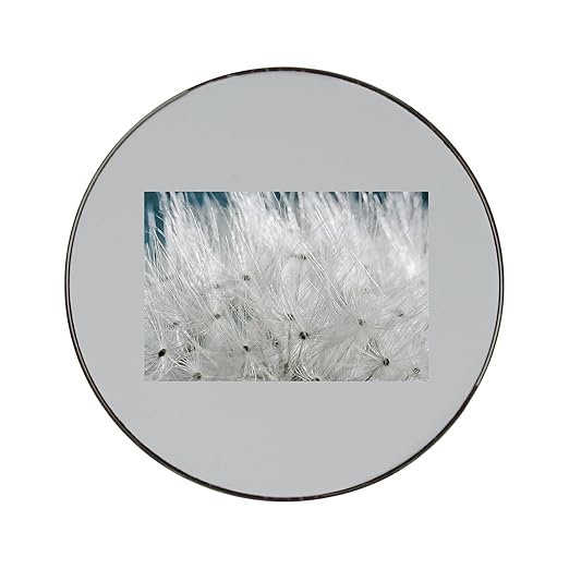 Compra Diente de león Semillas Metal redondo imán para nevera en ...