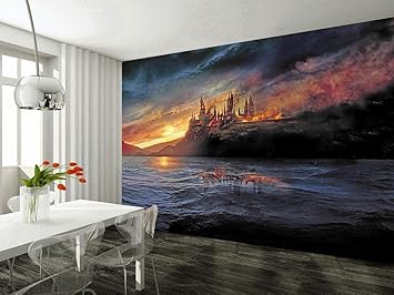Amazon Com Dizzy Hogwarts Harry Potter Photo Wallpaper Woven Self