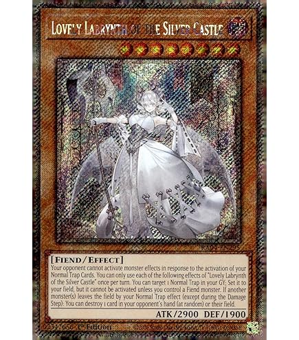 Amazon.com: Lovely Labrynth of The Silver Castle - MP23-EN226