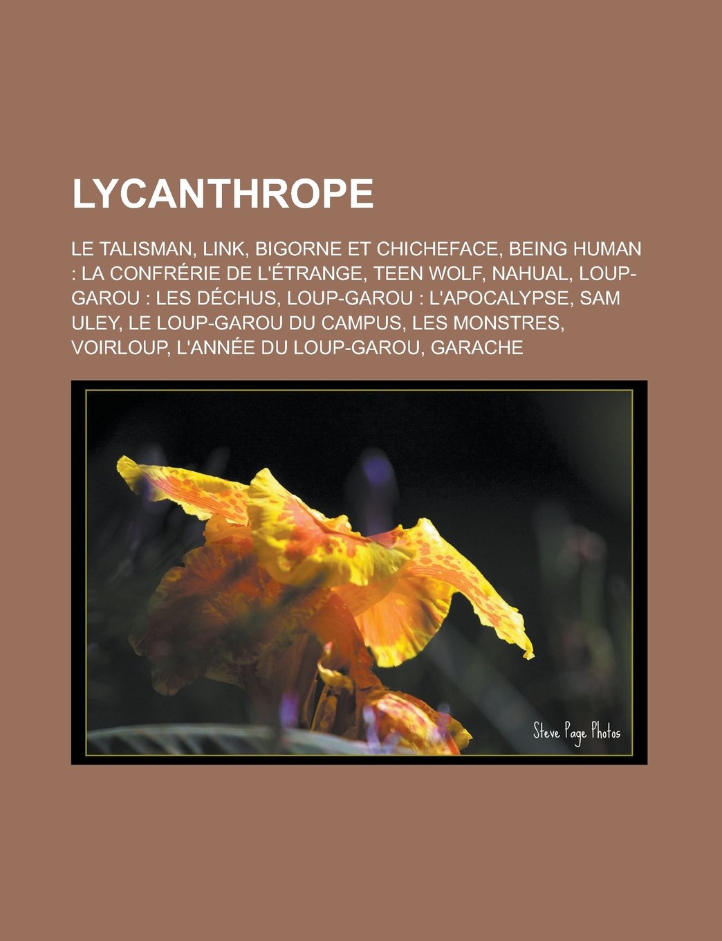 Lycanthrope Le Talisman Link Bigorne Et Chicheface Being Human La Confrerie De L Etrange Teen Wolf Nahual Loup Garou Les Dechus Loup Garou Loup Garou Du Campus Les Monstres Voirloup Amazon Com Br