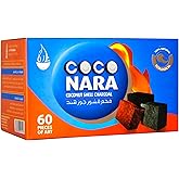 CocoNara Coconut 100% Natural Hookah Charcoal 60 Piece Box by CocoNara