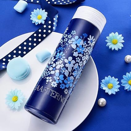 roman vacuum food flask