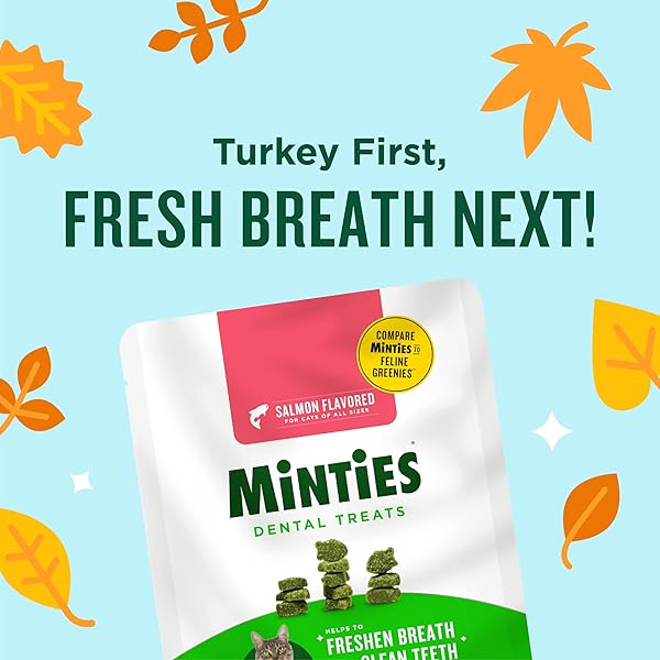 MINTIES DENTAL TREATS FOR CATS, SALMON FLAVORED TREATS FOR CATS, FRESHENS BREATH AND CONTROLS TARTAR, 2.5OZ