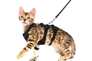 Pawfun Fully Escape Proof Cat Harness and Leash Set for Walking, Adjustable Soft Kitten Vest with Reflective Strip for Small 