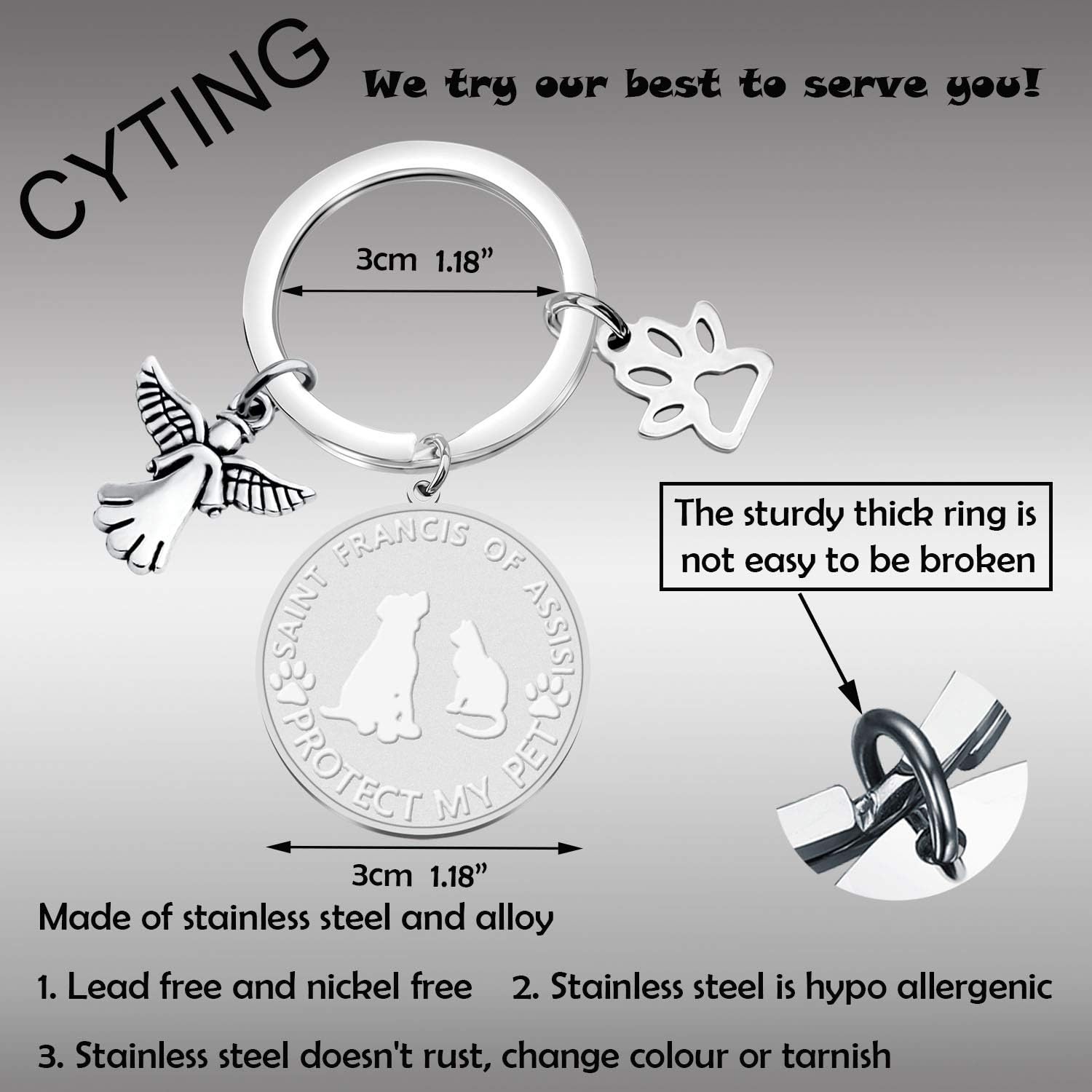 CYTING Saint Francis of Assisi Patron Saint Of Animals Protect My Pet Stainless Steel Dog Cat Pet ID Tag Collar Charm (Protect My Pet ID Tag): Clothing