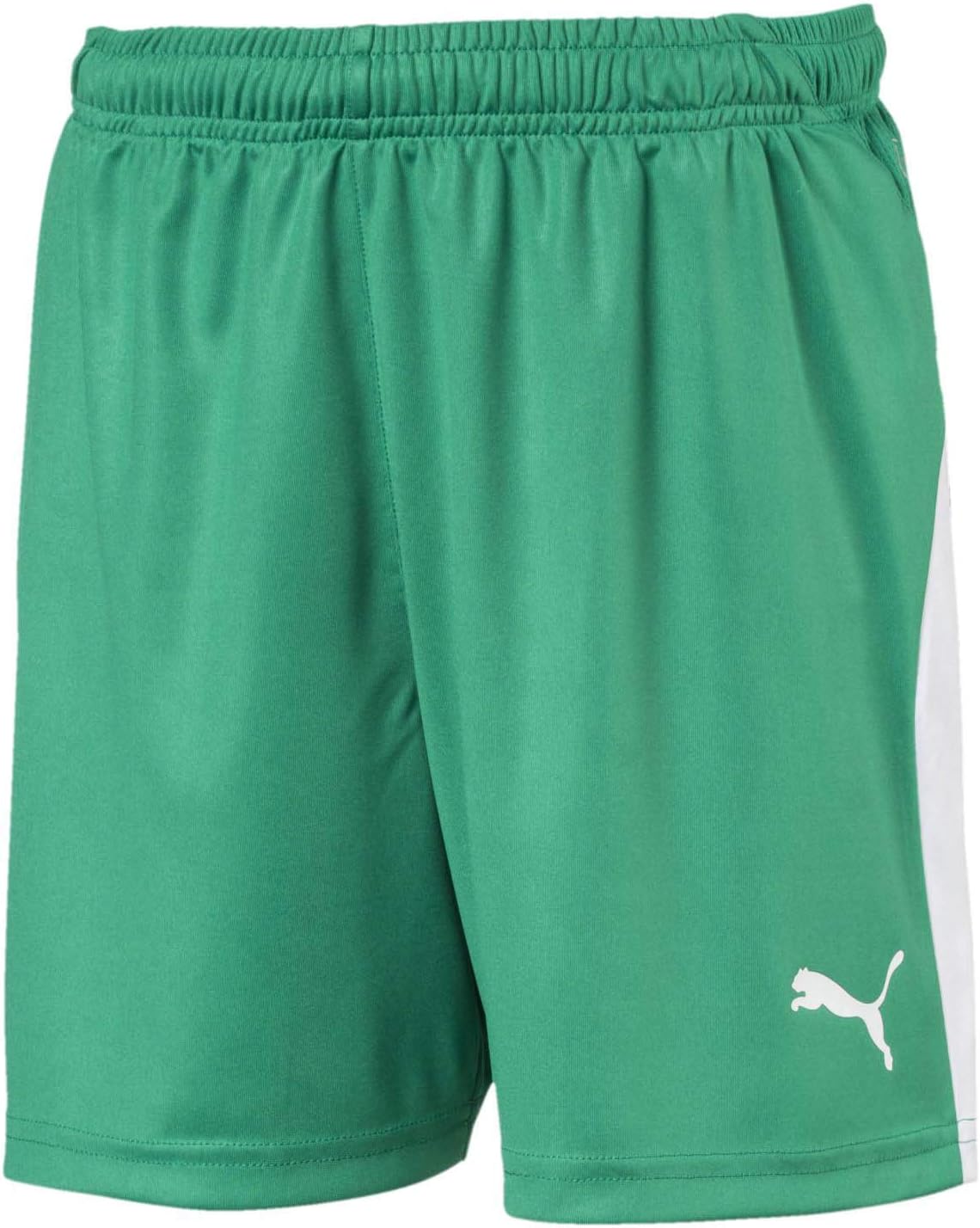 PUMA Youth Liga Shorts Buy Online at Best Price in UAE Amazon.ae