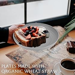 Homienly Dinner Plates Set of 8 Premium Wheat Straw