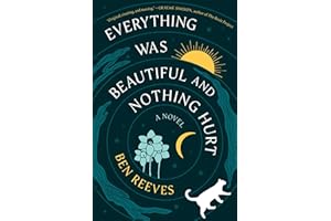 Everything Was Beautiful and Nothing Hurt: A Novel