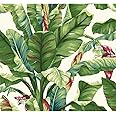 York Wallcoverings Tropics Banana Leaf Removable Wallpaper, Green