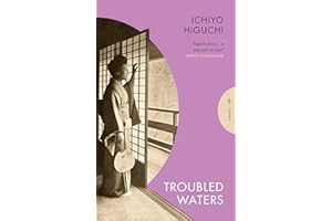 Troubled Waters (Pushkin Press Classics)
