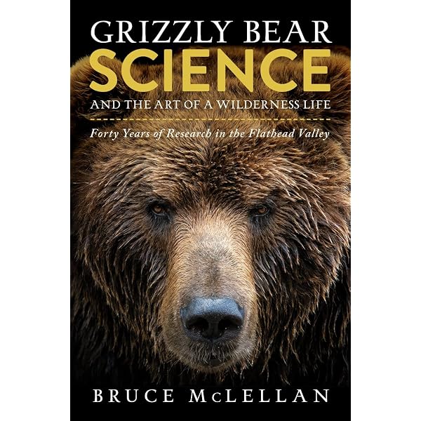 Bears: A Year in the Life: Breiter, Matthias: 9781554074617