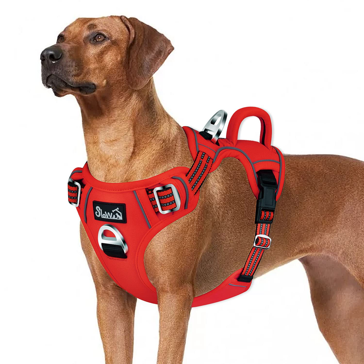 Eyein Large Dog Harness, Anti Pull Adjustable Heavy Duty Pet Vest with 2 Clips, Escape Proof Puppy Harness with Soft Padded Handle Reflective for Outdoor Training Walking, XL