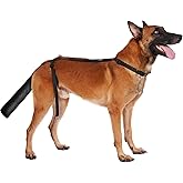 BARKLESS Dog Tail Protector, Dog Tail Wound Cover for Medium Large Dogs | Adjustable Tail Guard to Prevents Licking, Post Surgery, Breathable Tail End Bag for Recovery, Pet Cone Alternative Black, L