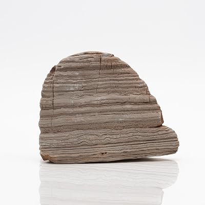 Amtra Rock Thousand Layer Wild Limestone Aquarium Ornament 2-3.5kg