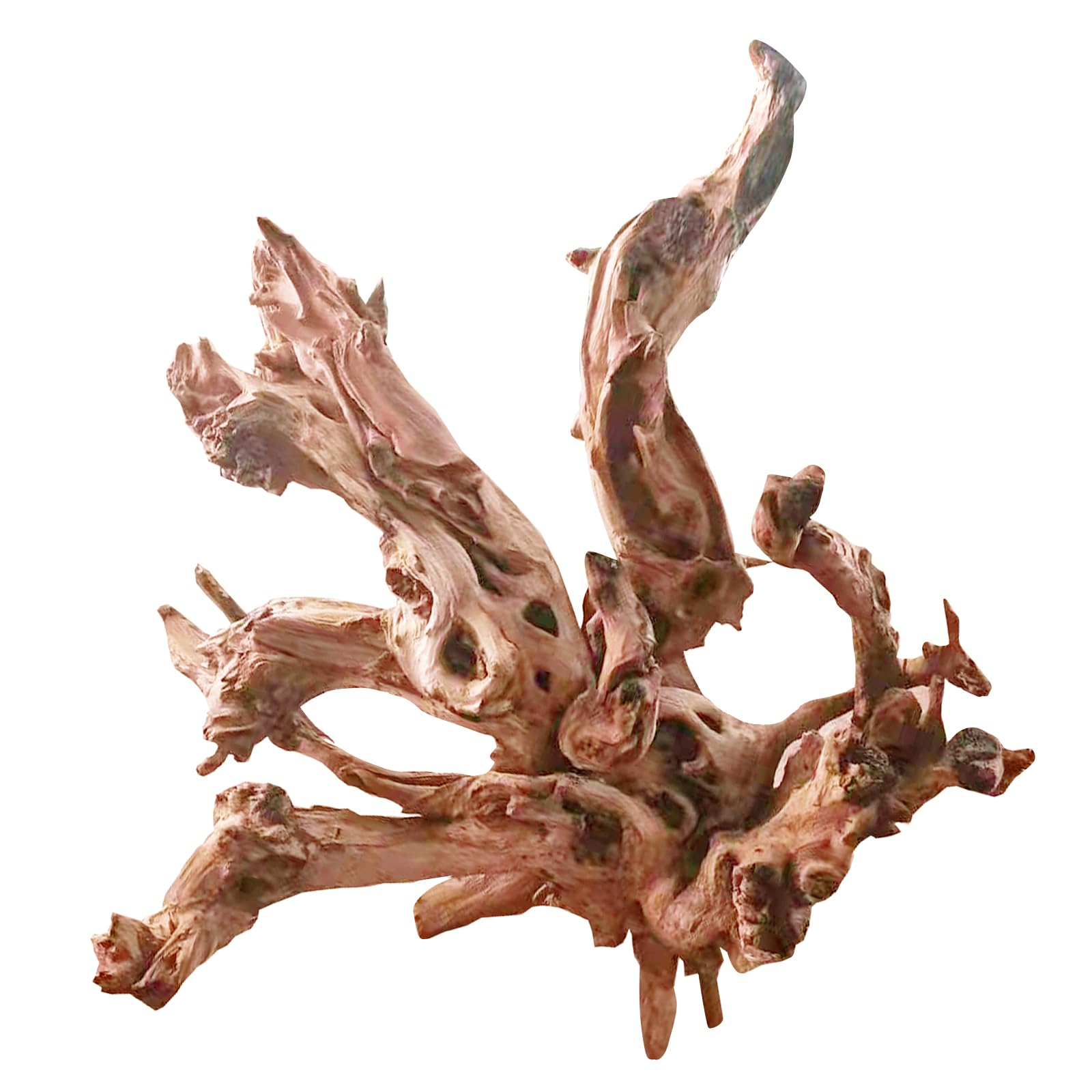 Photo 1 of Jorewood Natural Large Aquarium Driftwood for Fish Tanks & Reptile Terrariums – 100% Safe Fish Tank Decorations, Unique Twisted Branches 1-Piece 13-17 Inch Low Tannin, Easy to Sink