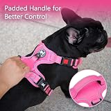PoyPet No Pull Dog Harness Reflective Front Back D-Rings Pink L view 4