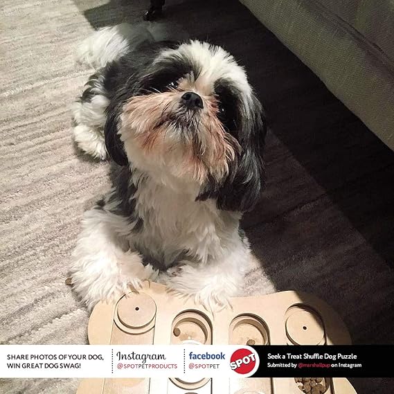 ethical pet seek a treat