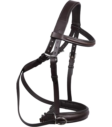 Combiné Bride Et Support En Cuir Noir Avec Quincaillerie Laiton - Pour Cheval - Occasion En Bon état
