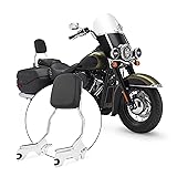 FIASRAC Upgraded version Rear Passenger Sissy Bar