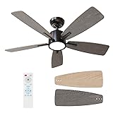 TALOYA 42 Inch Ceiling Fans with Lights Led Remote