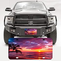 Sunset Tropical Beach with Palm Tree License
