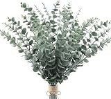 Leixi 24pcs Eucalyptus Stems Artificial Leaves 41cm Frosted Green for Wedding