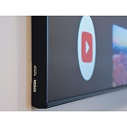 Epson SilverFlex Ultra 120-Inch Ambient Light